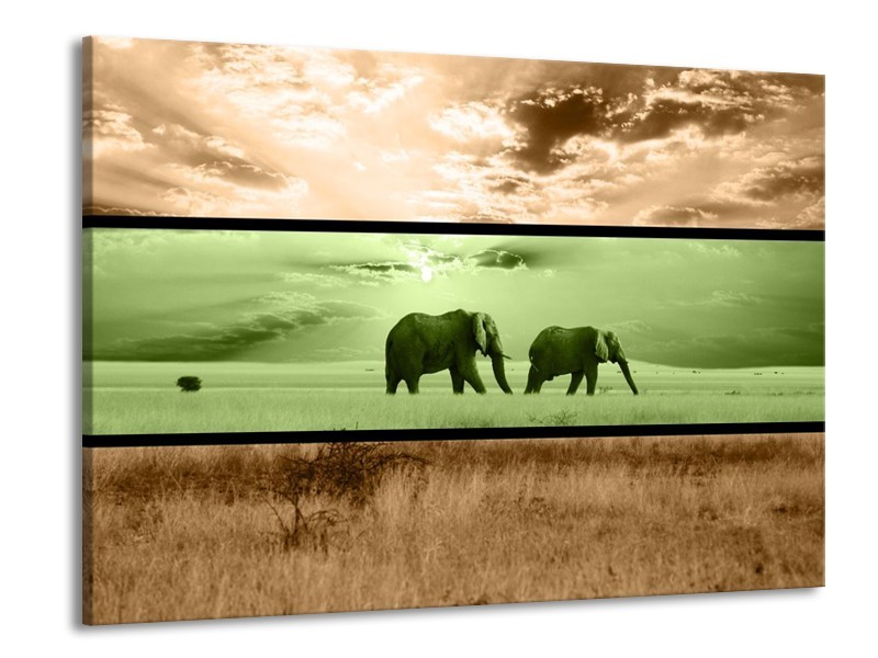 Canvas schilderij Olifant | Groen, Bruin | 100x70cm 1Luik