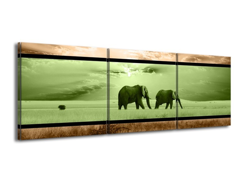 Canvas schilderij Olifant | Groen, Bruin | 150x50cm 3Luik