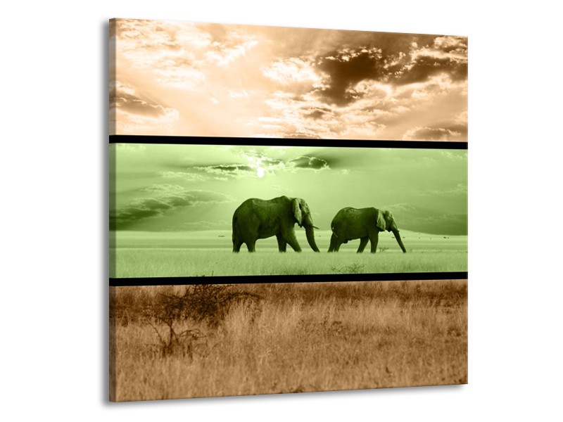 Canvas schilderij Olifant | Groen, Bruin | 70x70cm 1Luik