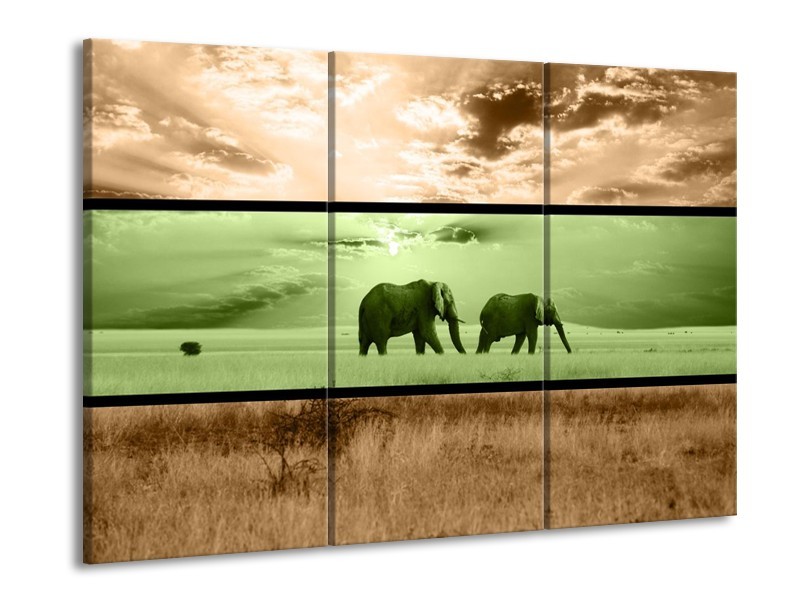 Glas schilderij Olifant | Groen, Bruin | 90x60cm 3Luik