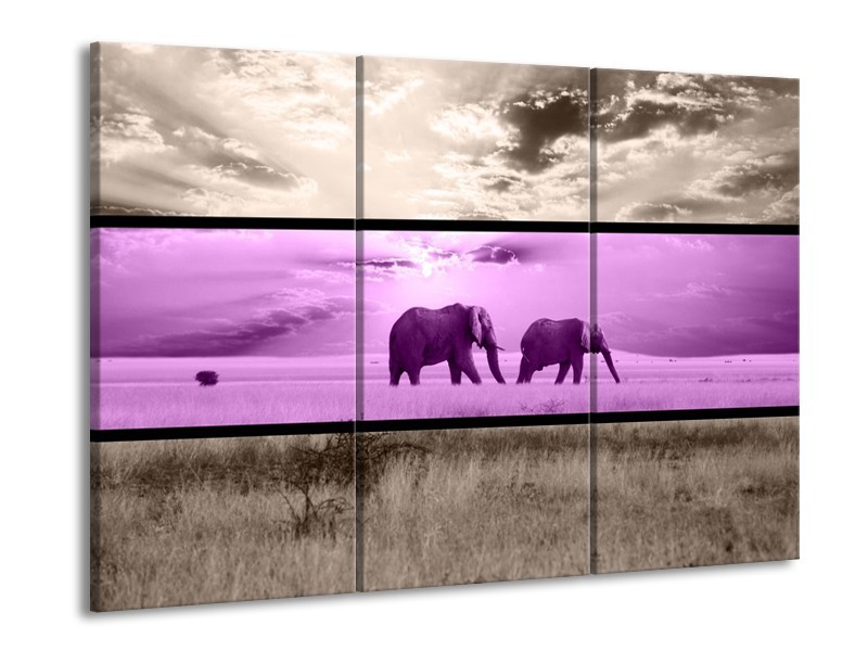 Glas schilderij Olifant | Paars, Bruin | 90x60cm 3Luik