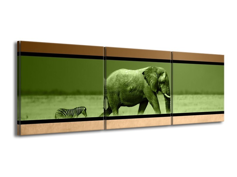 Canvas schilderij Olifant | Groen, Bruin | 150x50cm 3Luik