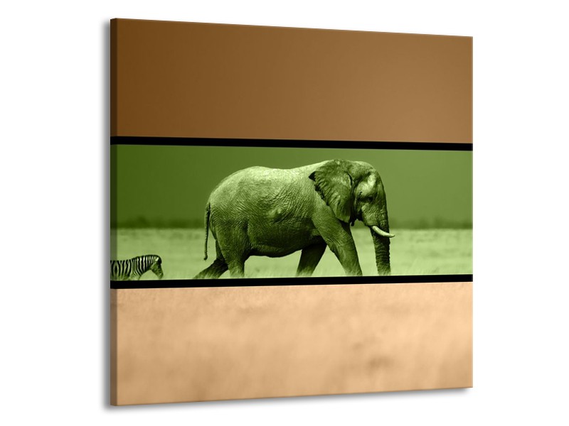 Canvas schilderij Olifant | Groen, Bruin | 70x70cm 1Luik