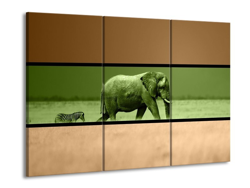 Glas schilderij Olifant | Groen, Bruin | 90x60cm 3Luik