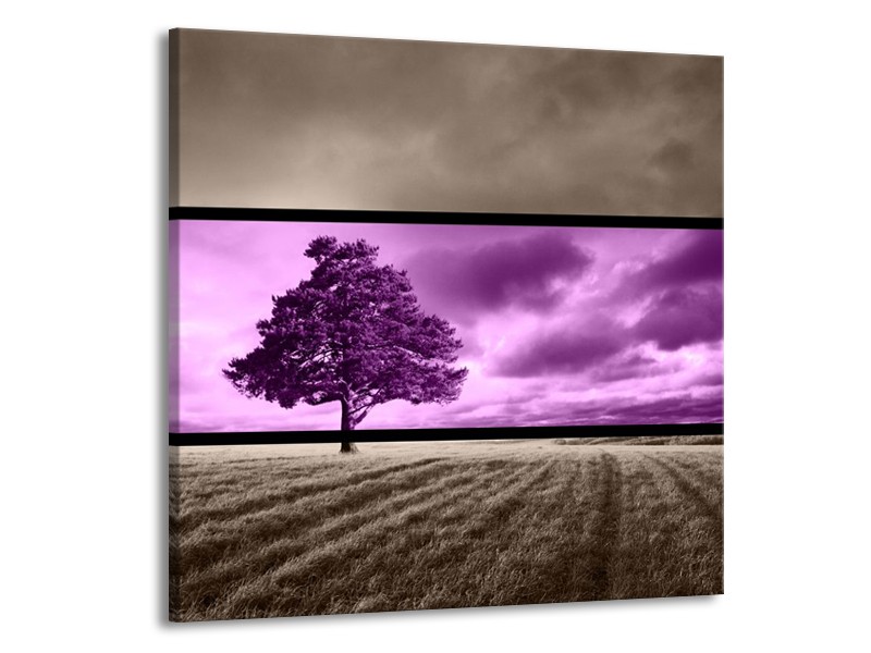 Glas schilderij Boom | Paars, Grijs | 50x50cm 1Luik