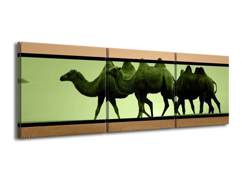 Canvas schilderij Kameel | Groen, Bruin, Zwart | 150x50cm 3Luik