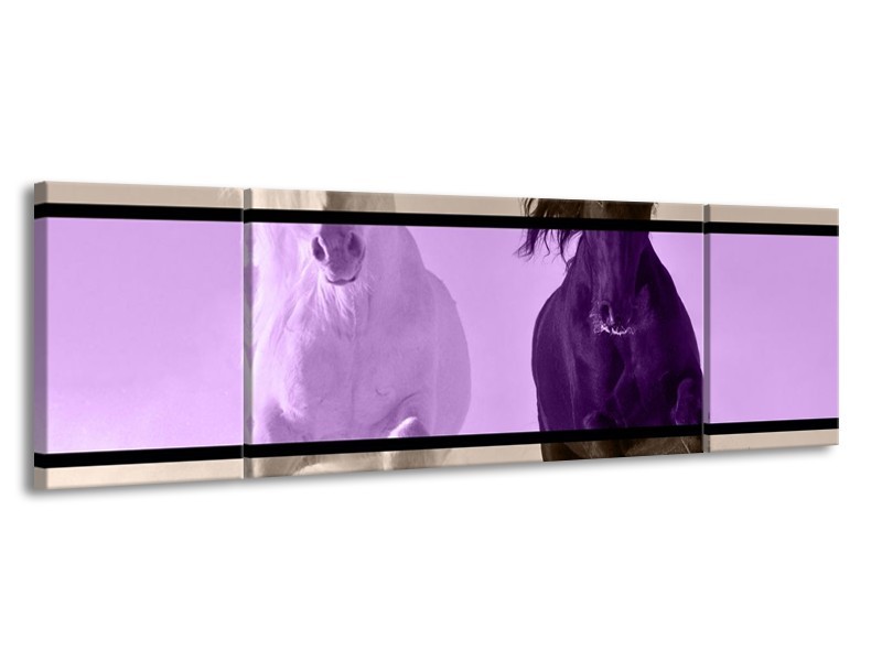 Canvas schilderij Paard | Paars, Zwart, Grijs | 170x50cm 3Luik