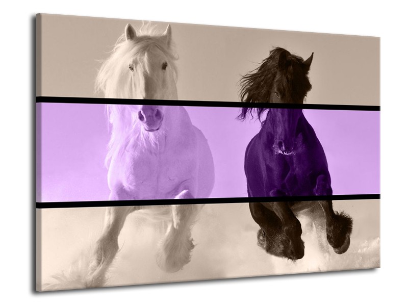 Glas schilderij Paard | Paars, Zwart, Grijs | 70x50cm 1Luik
