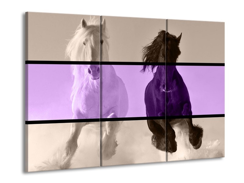 Glas schilderij Paard | Paars, Zwart, Grijs | 90x60cm 3Luik