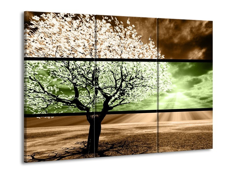 Glas schilderij Boom | Bruin, Groen, Zwart | 90x60cm 3Luik