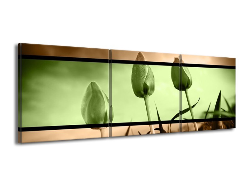 Canvas schilderij Tulp | Groen, Bruin | 150x50cm 3Luik