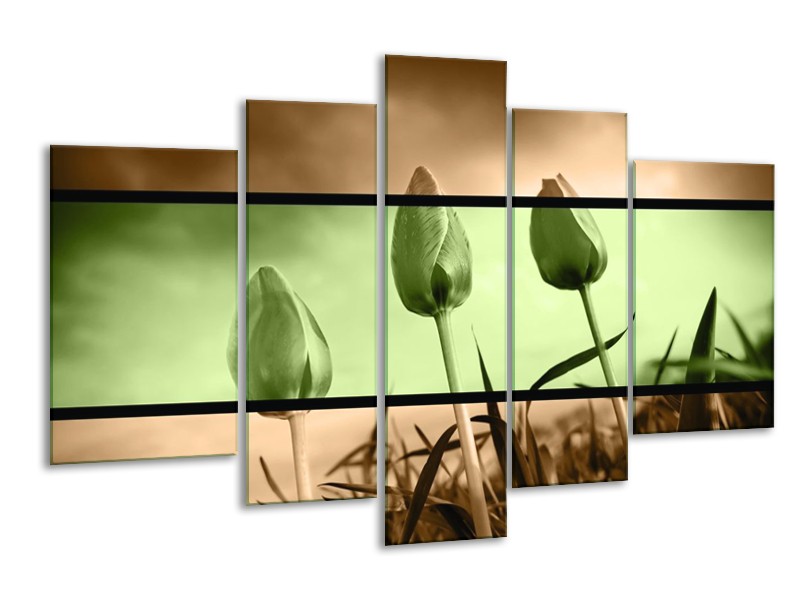 Canvas schilderij Tulp | Groen, Bruin | 170x100cm 5Luik