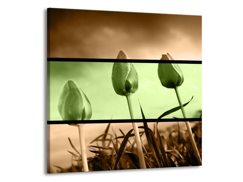 Canvas schilderij Tulp | Groen, Bruin | 50x50cm 1Luik