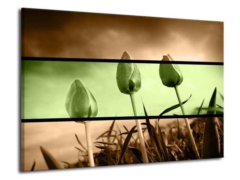 Canvas schilderij Tulp | Groen, Bruin | 70x50cm 1Luik