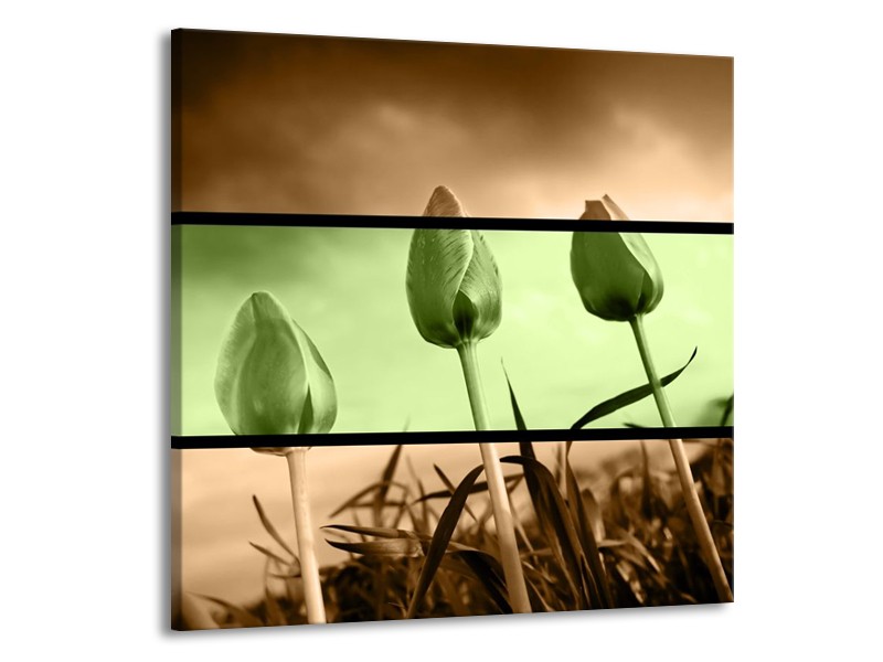 Canvas schilderij Tulp | Groen, Bruin | 70x70cm 1Luik