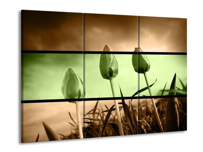 Glas schilderij Tulp | Groen, Bruin | 90x60cm 3Luik