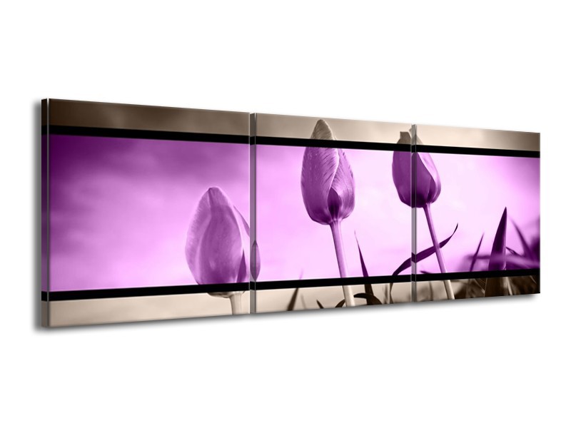 Canvas schilderij Tulp | Paars, Grijs, Zwart | 150x50cm 3Luik