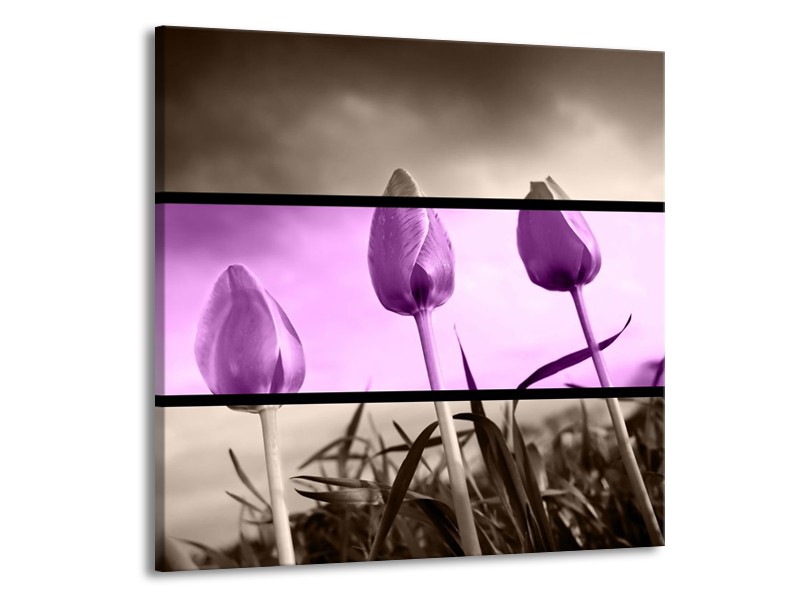 Canvas schilderij Tulp | Paars, Grijs, Zwart | 70x70cm 1Luik