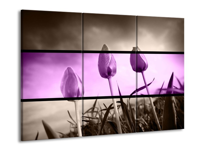Glas schilderij Tulp | Paars, Grijs, Zwart | 90x60cm 3Luik