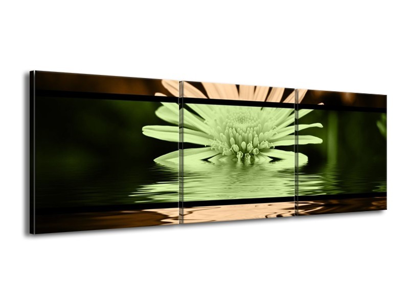 Canvas schilderij Bloem | Groen, Bruin, Zwart | 150x50cm 3Luik