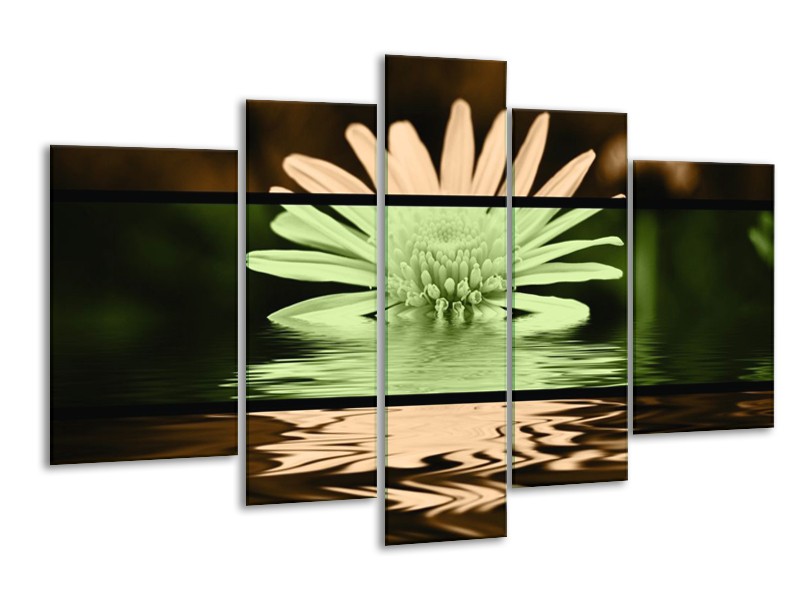 Canvas schilderij Bloem | Groen, Bruin, Zwart | 170x100cm 5Luik