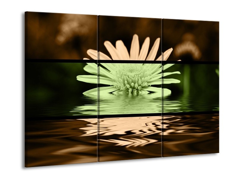 Canvas schilderij Bloem | Groen, Bruin, Zwart | 90x60cm 3Luik
