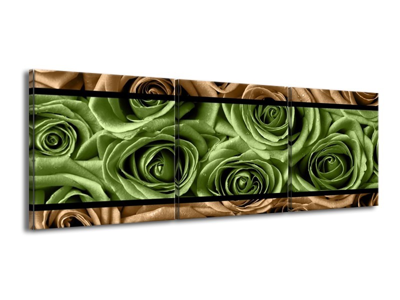 Canvas schilderij Roos | Groen, Bruin, Zwart | 150x50cm 3Luik