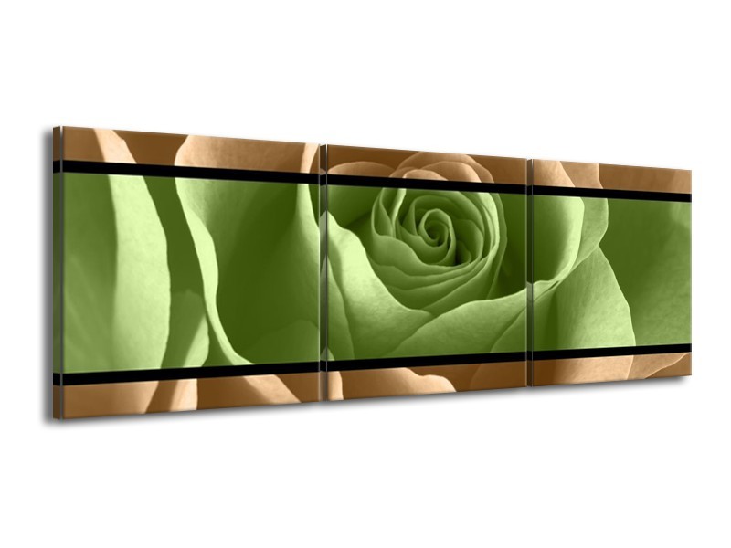 Canvas schilderij Roos | Groen, Bruin, Zwart | 150x50cm 3Luik