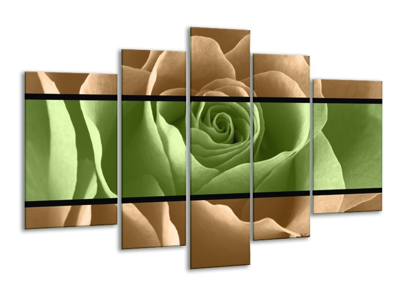 Canvas schilderij Roos | Groen, Bruin, Zwart | 170x100cm 5Luik