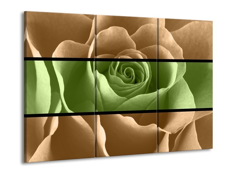 Glas schilderij Roos | Groen, Bruin, Zwart | 90x60cm 3Luik