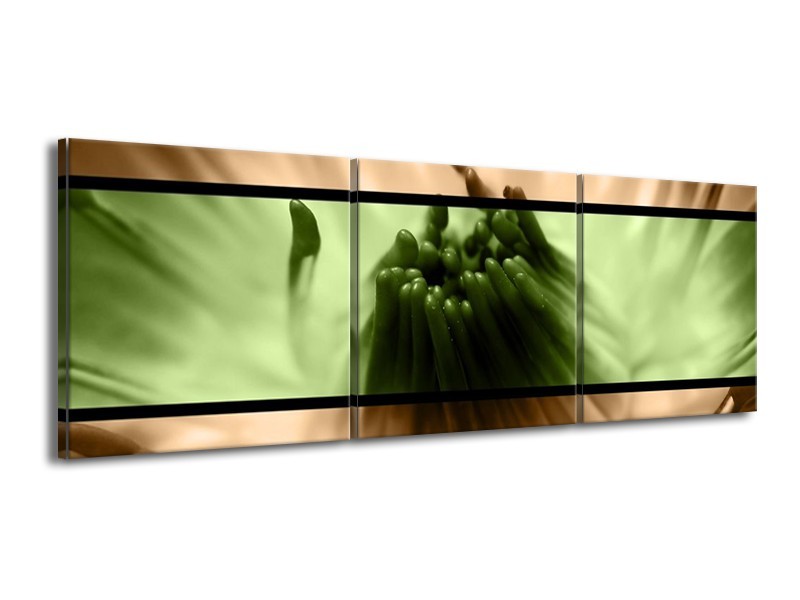 Canvas schilderij Bloem | Groen, Bruin, Zwart | 150x50cm 3Luik