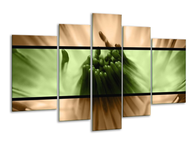Canvas schilderij Bloem | Groen, Bruin, Zwart | 170x100cm 5Luik