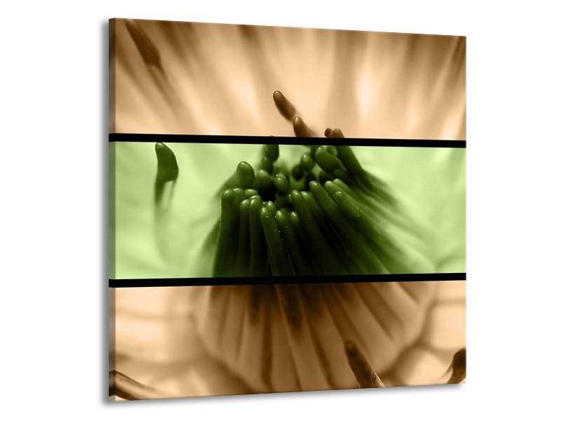 Canvas schilderij Bloem | Groen, Bruin, Zwart | 50x50cm 1Luik