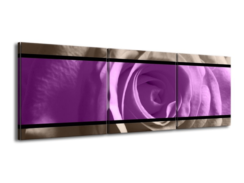 Canvas schilderij Roos | Paars, Grijs, Zwart | 150x50cm 3Luik