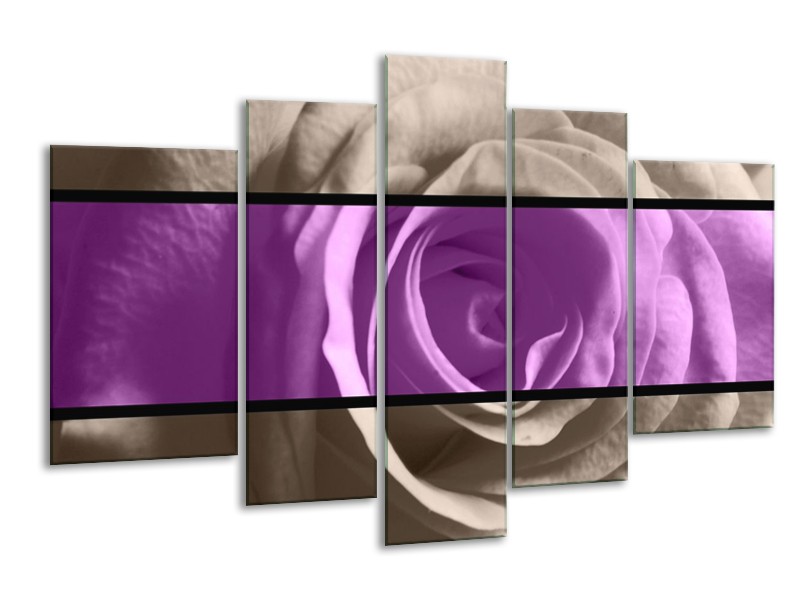 Canvas schilderij Roos | Paars, Grijs, Zwart | 170x100cm 5Luik