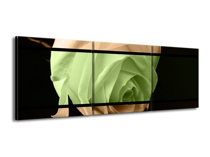 Canvas schilderij Roos | Groen, Bruin, Zwart | 150x50cm 3Luik