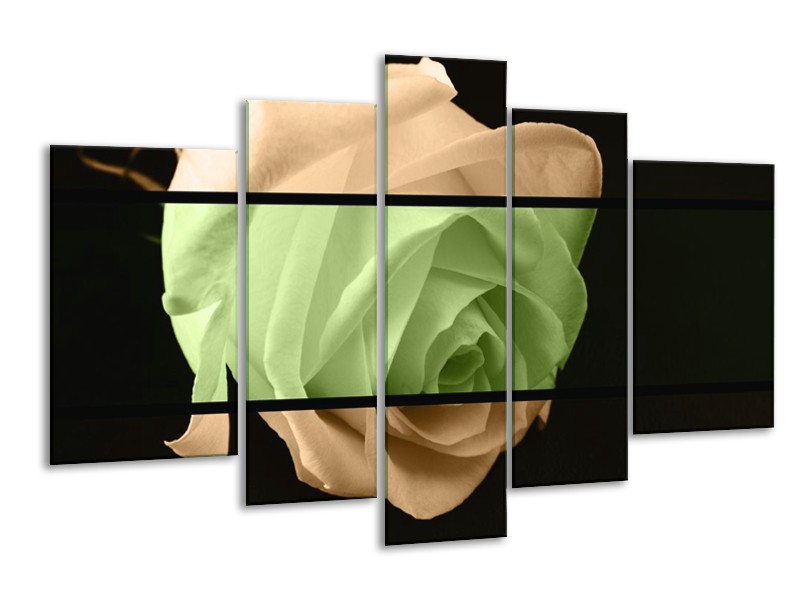 Canvas schilderij Roos | Groen, Bruin, Zwart | 170x100cm 5Luik