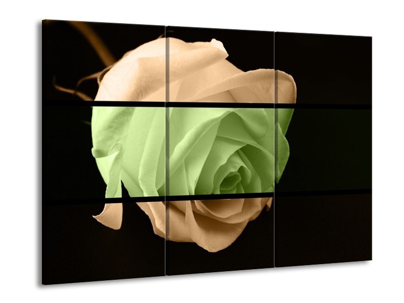 Canvas schilderij Roos | Groen, Bruin, Zwart | 90x60cm 3Luik