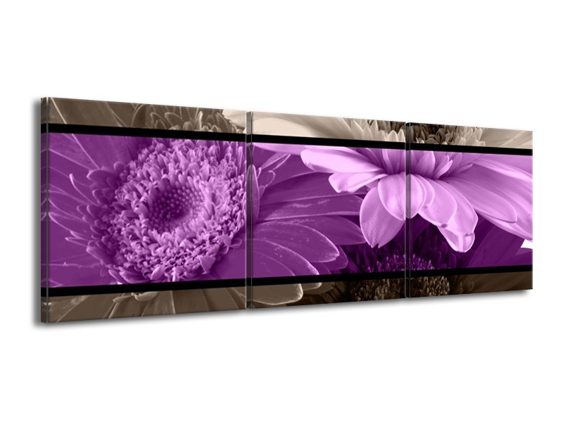 Canvas schilderij Bloem | Paars, Grijs | 150x50cm 3Luik