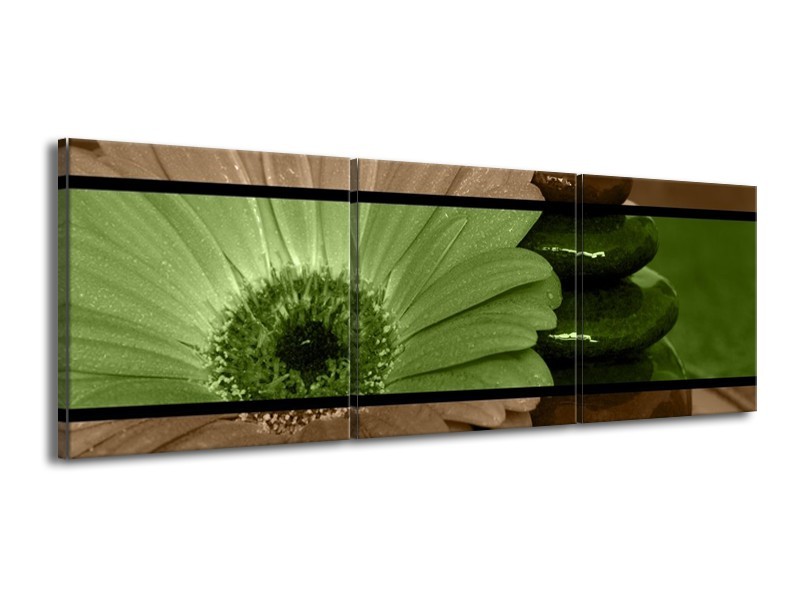 Canvas schilderij Bloem | Groen, Bruin | 150x50cm 3Luik