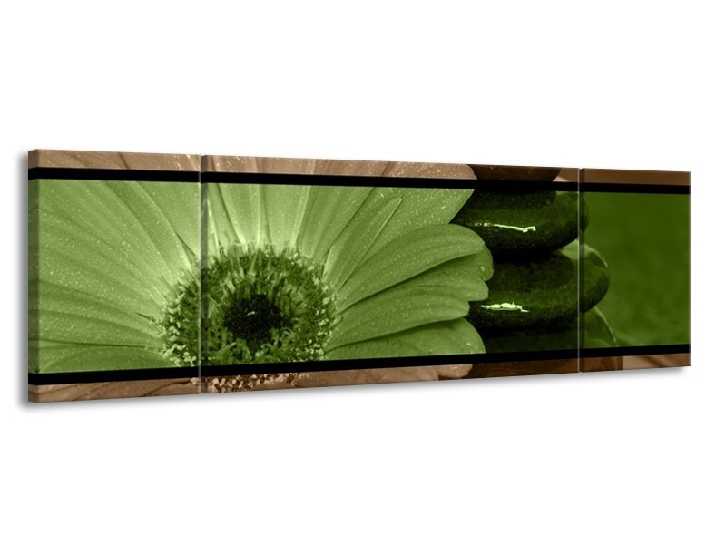 Canvas schilderij Bloem | Groen, Bruin | 170x50cm 3Luik