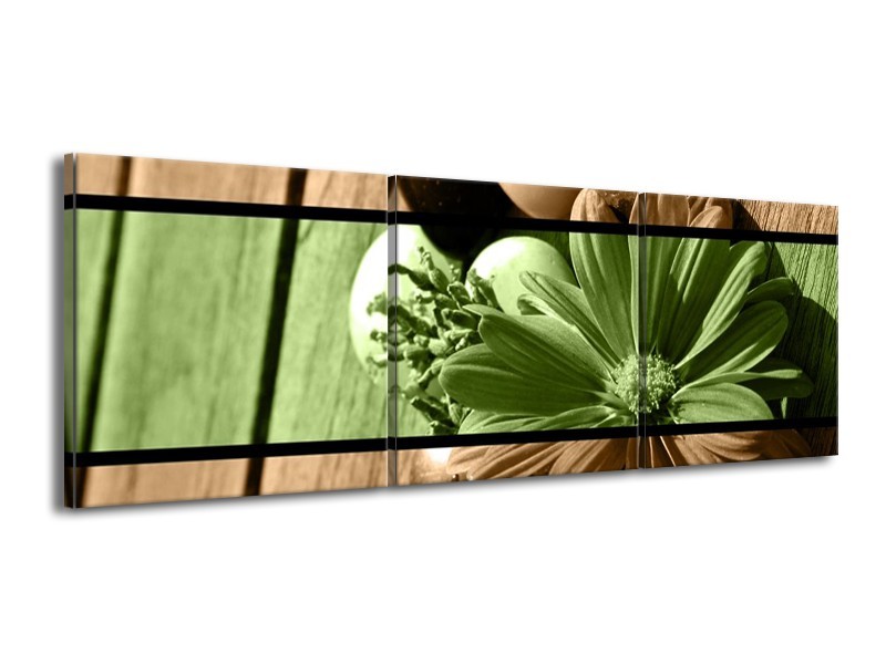Canvas schilderij Bloem | Groen, Bruin | 150x50cm 3Luik