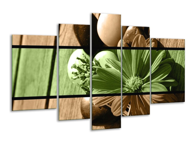 Canvas schilderij Bloem | Groen, Bruin | 170x100cm 5Luik