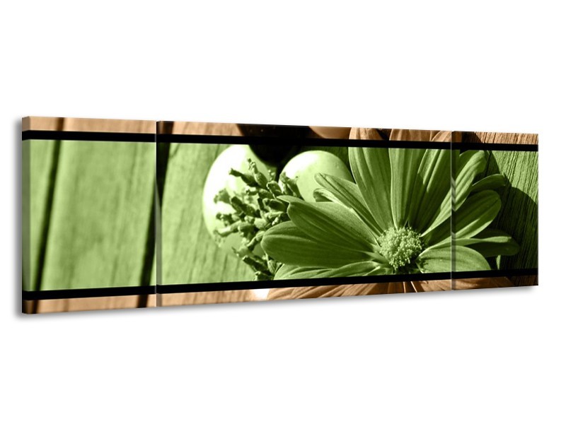 Glas schilderij Bloem | Groen, Bruin | 170x50cm 3Luik