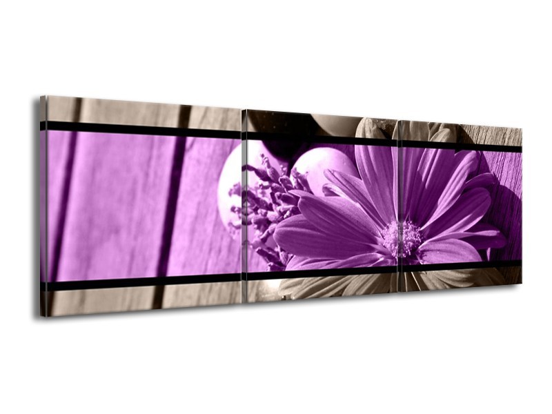 Canvas schilderij Bloem | Paars, Grijs | 150x50cm 3Luik