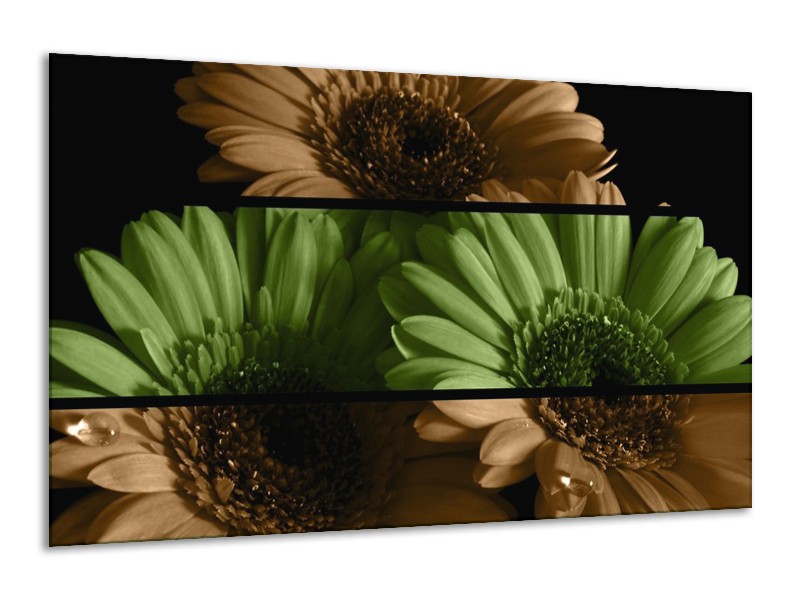 Canvas schilderij Bloem | Groen, Bruin | 120x70cm 1Luik