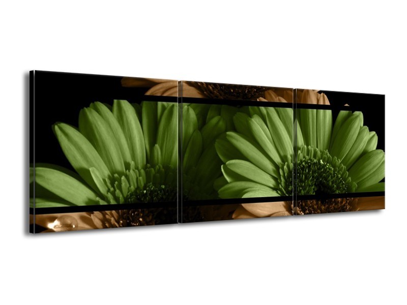Canvas schilderij Bloem | Groen, Bruin | 150x50cm 3Luik
