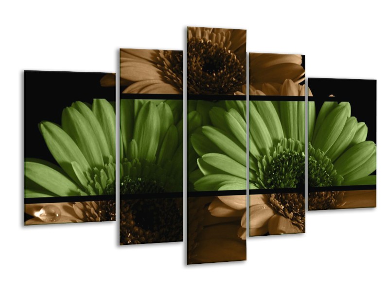 Canvas schilderij Bloem | Groen, Bruin | 170x100cm 5Luik