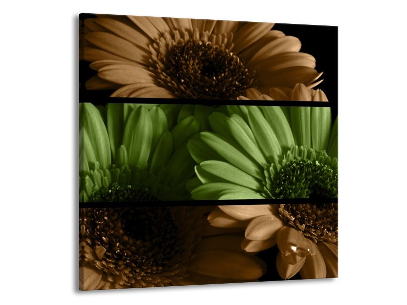 Canvas schilderij Bloem | Groen, Bruin | 50x50cm 1Luik