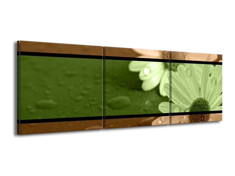 Canvas schilderij Bloem | Groen, Bruin | 150x50cm 3Luik